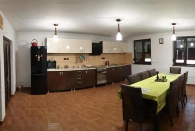 Vila P+1+M Cazasu 510mp construiti si teren 3774 mp - 14