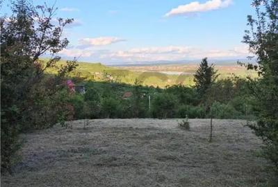 Teren de 1765 mp, în Podgoria - 2