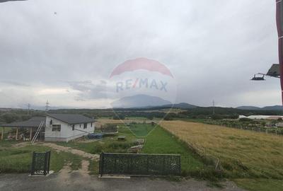 Casa / Vila de vanzare - 4