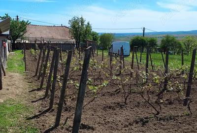 Casă cu 4 camere în Schit-Orășeni - 3