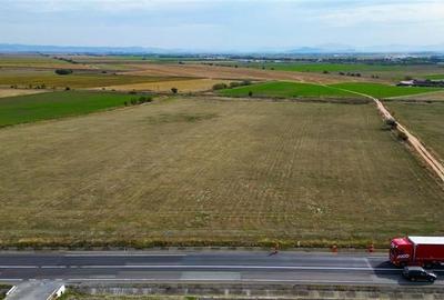 FILM! 60.000 mp, teren intravilan, acces la DN1, Codlea, Brasov - 4