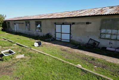 Hala de 430 mp ?i teren intravilan 2.5 ha Macea - 1