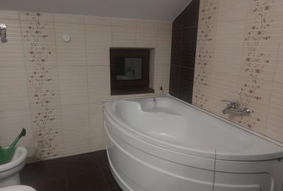 Proprietar , vand casa in Dumbravita ,central - 1