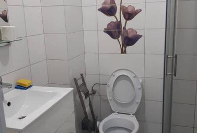 Garsonieră decomandată în Tomis Plus - 10