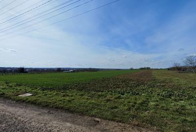 Teren Construcții intravilan de 252 mp, în Valu lui Traian - 7