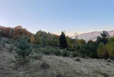 Casă în Blăjeni - 4