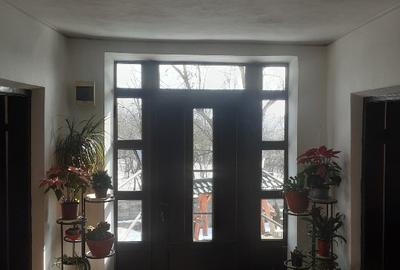 Casă individuală cu 5 camere în Cernișoara - 9