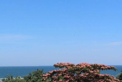 Casă cu 2 camere cu Teren 65 Mp în Central - 4