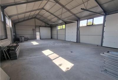 HALA 240 mp Constructie Noua Alexandria - 3