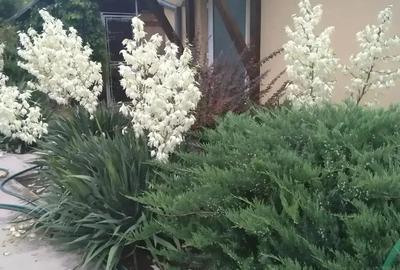 Vand casa Dumbravi?a - 4