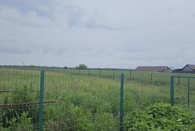 Teren de 1000 mp, în Moara Vlăsiei