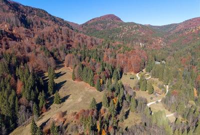 Teren Construcții extravilan de 20000 mp, în Siriu - 7