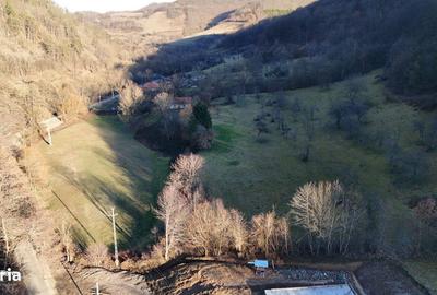 Teren de 23321 mp, în Vața de Jos - 3