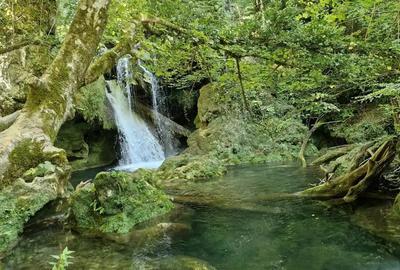 Casa tradi?ionala din piatra de vanzare, zona Cheile Nerei - 5
