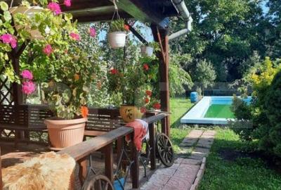 Colt de poveste, 1600 mp, piscina, semineu, centru Giarmata - 2