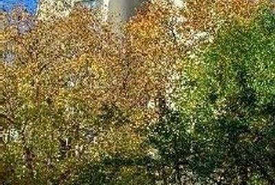 Apartament 2 camere Bucuresti, ID: R2841672 - 2