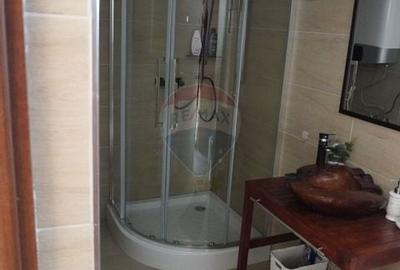 Casă individuală cu 5 camere cu Canalizare în Moisei - 44