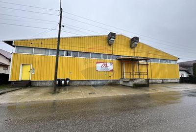Spa?iu industrial de vanzare in zona Nord-Vest a Camp... - 18