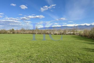 Teren agricol extravilan de 10000 mp, în Bradu - 2