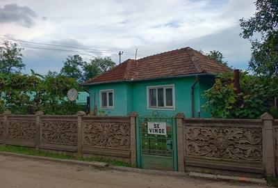 Casă cu 3 camere în Călanu Mic - 8