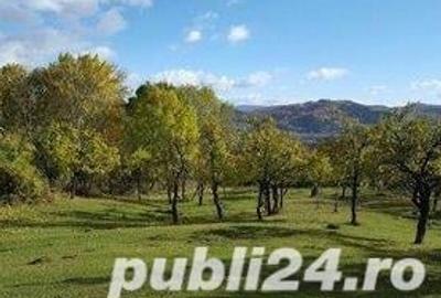 Teren de 3300 mp, în Predeal