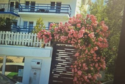 Predeal, Brasov - 2