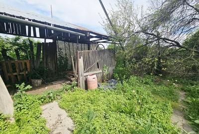 Casă cu 2 camere și teren generos, Dărmănești – Exclusivitate - 12