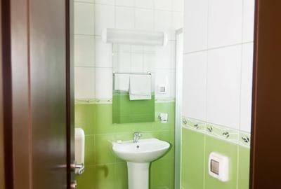 Spațiu comercial, de 720 mp, în Bucovăț (Remetea Mare) - 3