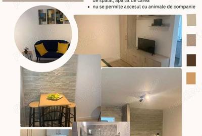 Garsonieră semidecomandată în Nord - 6