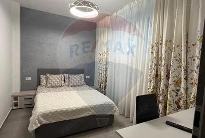 Studio de inchiriat in brazda - 1