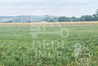 Teren extravilan Lugasu de jos, Bihor - 4