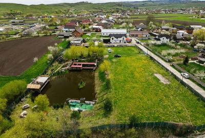 Teren Construcții intravilan de 6000 mp, în Ilișești - 25