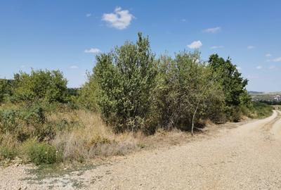 Teren intravilan de vanzare, 3.500 mp, cu front stradal de 21,5 ml - 4