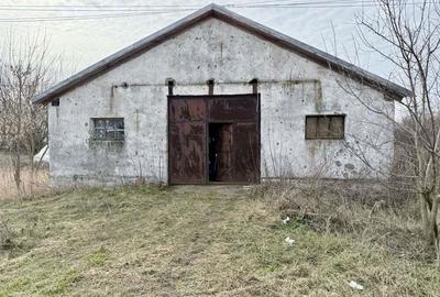 Pret redus Teren generos cu grajd nou in Varsand - 5