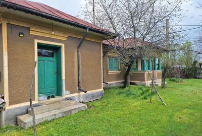 Casă individuală cu 5 camere cu Teren 3400 Mp în Central - 5