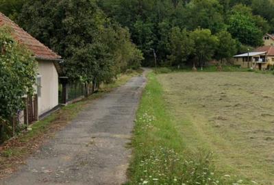 Spațiu comercial, în Negreni - 8