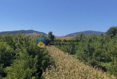 Teren de vanzare 1935 mp Piatra Neam? - Str. Plantelor - 5