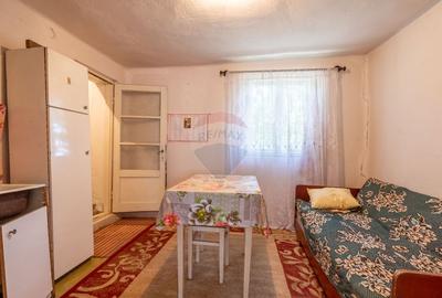 Casa de vanzare, in localitatea Turnu, fara comision - 11