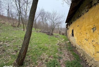 Spațiu comercial, în Luncșoru - 1