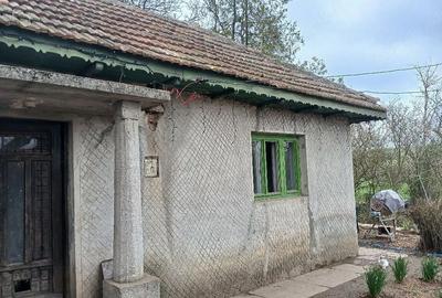 Casă cu Teren 1000 Mp în Cerchezu - 1