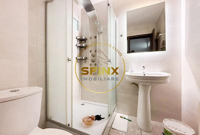 Duplex de inchiriat Parcul Circului Duplex de inchiriat Parcul Circului - 22