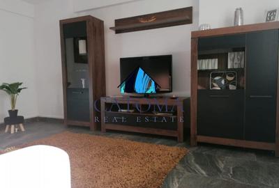 Apartament deosebit / Curte proprie / Parcare - 4