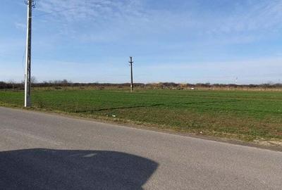 Teren de 5300 mp, în Odoreu - 3