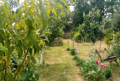 Casă cu 3 camere în Recea - 7