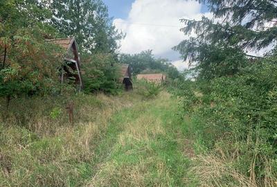 Teren de 7500 mp, în Siret - 1