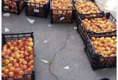 Teren de 80000 mp, în Sântimbru - 7