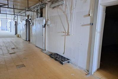 Spațiu comercial, de 1,200 mp, în Carani - 1