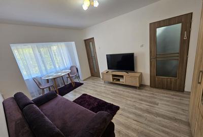 Garsonieră semidecomandată în Lipovei - 8