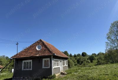 Vind casa in Tomnatic - 1