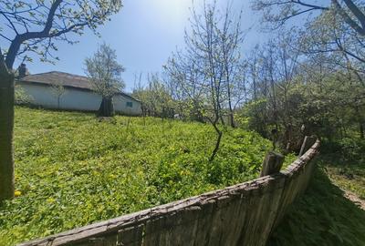 Casă individuală cu 2 camere cu Canalizare în Pădureni (Mărgineni) - 2